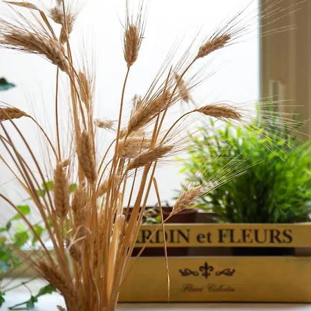 Flaminia 36 Luxury *